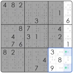 five sudoku